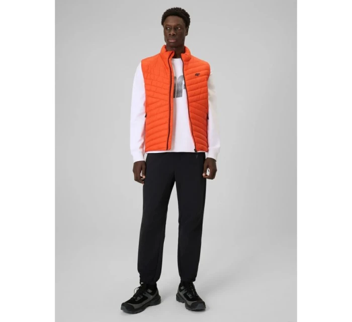 Pánská mikina bez kapuce model 21877664 - 4F Pánská mikina bez kapuce model 21877664 - 4F