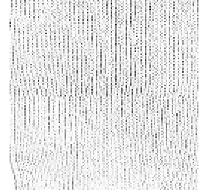 Cerberus 0626 pánske ponožky, netlakové 39-47