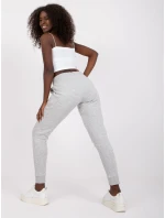 Tepláky TW DR 1033.16P sivá Tepláky TW DR 1033.16P sivá