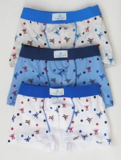 Dětské boxerky model 21320917 - Gasolineblu