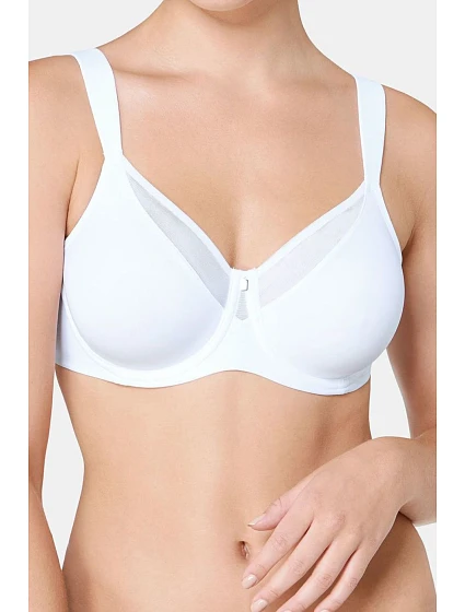 Soft model 229984 Triumph