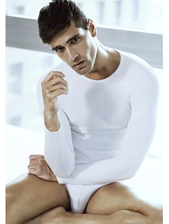 Pánské tričko model 22065876 - Pierre Cardin