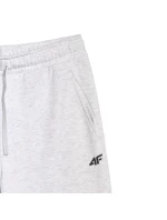 Pánske nohavice 4F CAS M1140 cool light grey melange 4FWMM00TTROM1140 27M