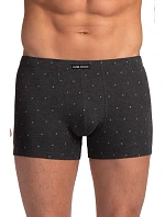 PÁNSKÉ ŠORTKY model 22106961 2PACK - Lama