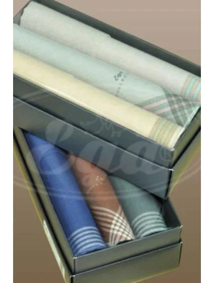 Pánska vreckovka CH-281 sada 3 kusov