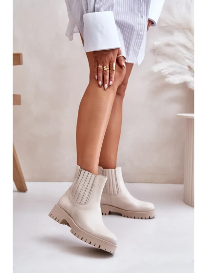 Obuv model 201153 Step in style