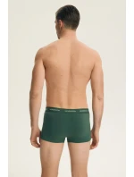 PÁNSKÉ ŠORTKY 2PAK model 21902065 - Henderson PÁNSKÉ ŠORTKY 2PAK model 21902065 - Henderson