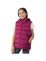 Vesta Jr HJZ22 model 17677402 53S - 4F