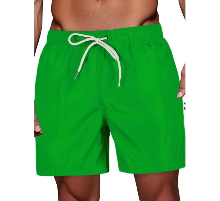 Pánske zelené šortky FashionStreet SX2540