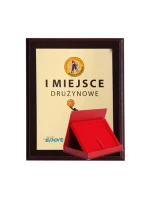 Plastový diplom s farebným dotykovým laminátom + puzdro 305x245 mm