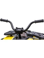 BATÉRIA TRAPPER QUAD ŽLTÁ 1033013 BATÉRIA TRAPPER QUAD ŽLTÁ 1033013