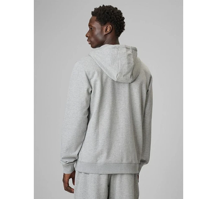 Pánská mikina s kapucí model 22117447 pánské - 4F