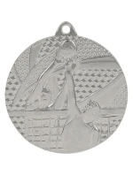 strieborná medaila - volejbal