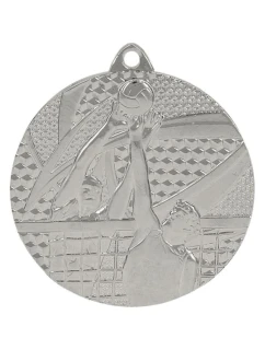 strieborná medaila - volejbal