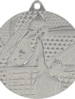 strieborná medaila - volejbal