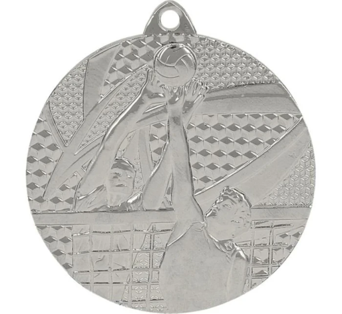 strieborná medaila - volejbal