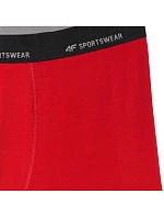 Pánske boxerky 4F M080 2-pack multicolor 4FWMM00UBXSM080 90S Pánske boxerky 4F M080 2-pack multicolor 4FWMM00UBXSM080 90S