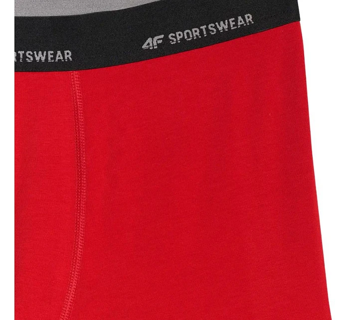 Pánske boxerky 4F M080 2-pack multicolor 4FWMM00UBXSM080 90S Pánske boxerky 4F M080 2-pack multicolor 4FWMM00UBXSM080 90S