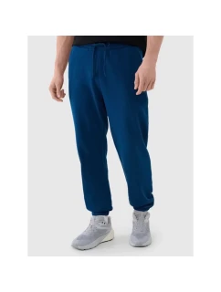 Nohavice 4F M 4FWMM00TTROM1139-46S