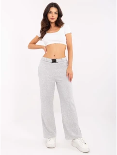 Nohavice DHJ SP 20356.49 sivé