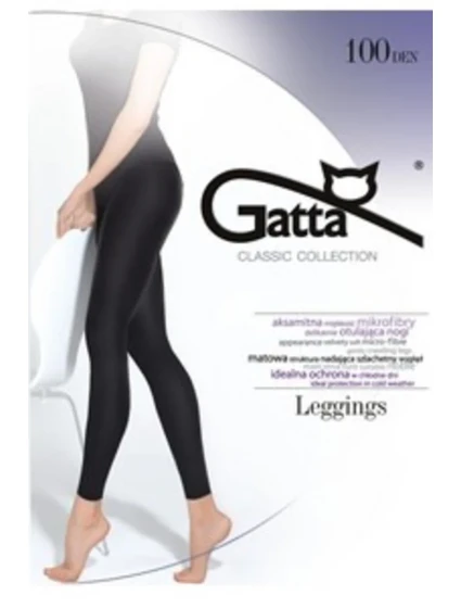 Dámske legíny - mikrovlákno 100 DEN-5 Dámske legíny - mikrovlákno 100 DEN-5