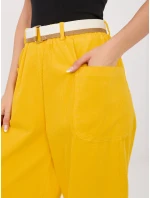 Spodnie IT SP model 22022467 żółty - FPrice