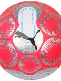 Puma Cage Ball 084074-01 Futbal