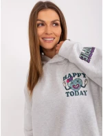 Mikina D10606BA02406D2 svetlo šedá Mikina D10606BA02406D2 svetlo šedá