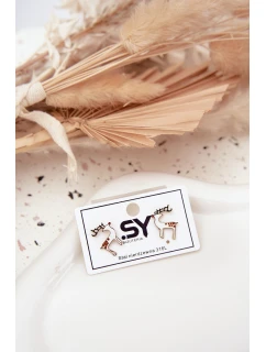 Náušnice model 21791543 ze chirurgické oceli - Boto