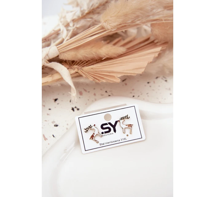 Náušnice model 21791543 ze chirurgické oceli - Boto