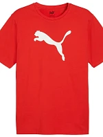 Puma Team Rise Logo Jersey Cotton M 658705 01 Pánske