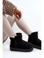 Sněžnice Na Platformě  Černé model 21638839 - D.Franklin