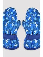 LYŽIARSKE RUKAVICE RN046