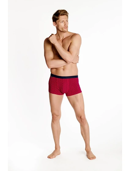 Boxerky  Set of 2  model 17584216 - Henderson