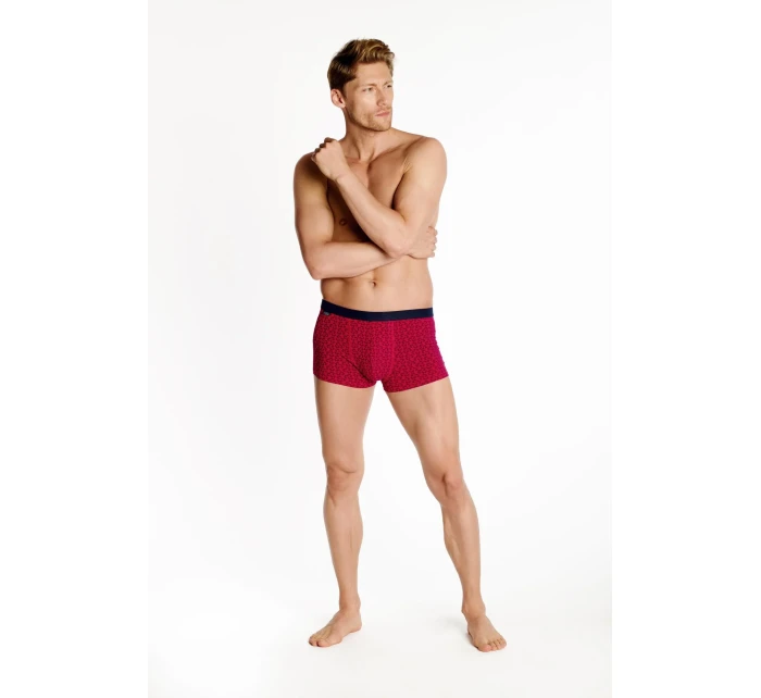 Boxerky  Set of 2  model 17584216 - Henderson