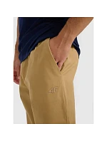 Pánské tepláky typu jogger model 22073485 - 4F