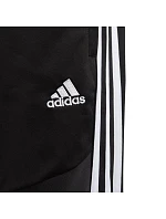 Adidas Tiro 19 Pes Pant Junior D95925