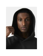 Helly Hansen Core Graphic Sweat Hoodie M 53924 993