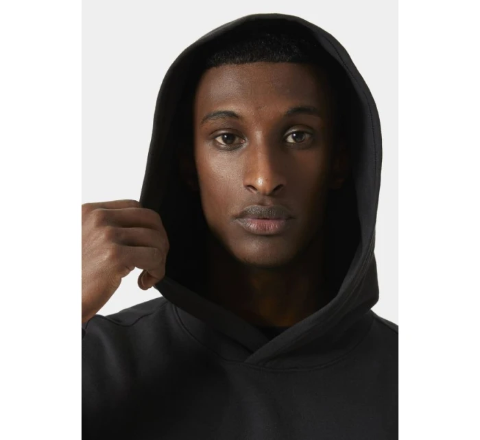 Helly Hansen Core Graphic Sweat Hoodie M 53924 993