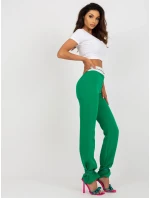 Kalhoty DHJ SP model 18468958 zelená - FPrice Kalhoty DHJ SP model 18468958 zelená - FPrice