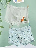 Chlapčenské boxerky 5002 A'2 kombinované zelené - DC Polo