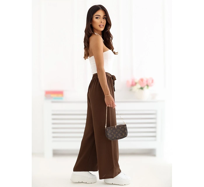 Spodnie CS SP model 22099837 ciemny brązowy - FPrice