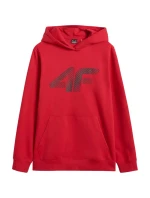 Mikina M pánské model 21399331 - 4F Mikina M pánské model 21399331 - 4F