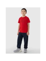 Chlapecké tričko s potiskem model 21736318 - 4F Chlapecké tričko s potiskem model 21736318 - 4F