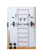 GYMNASTICKÝ REBRÍK S NASTAVITEĽNOU KOVOVOU TYČOU 731W BENCHK