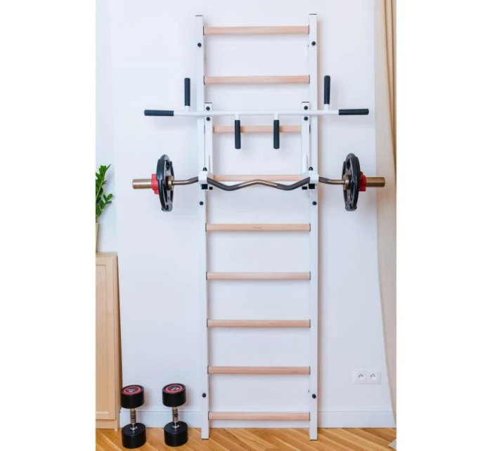 GYMNASTICKÝ REBRÍK S NASTAVITEĽNOU KOVOVOU TYČOU 731W BENCHK