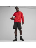 Puma Team Goal Casuals Hooded M 658595 01