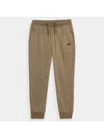 Chlapčenské tepláky Jr 4FJSS23TTROM133 83S - 4F