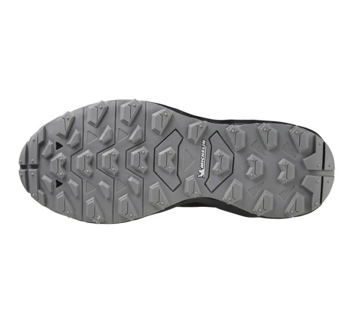 Bežecká obuv Mizuno Wave Daichi 7 GTX W J1GK225621