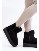 Sněžnice Na Platformě  Černé model 21638839 - D.Franklin